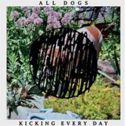 All Dogs - Kicking Every Day lyrics