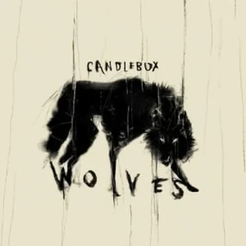 American Aquarium - Wolves lyrics