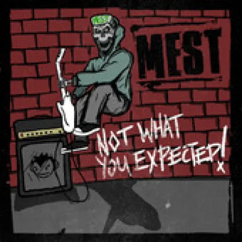 Mest - Not What You Expected lyrics