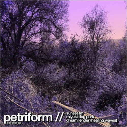 Petriform - Triple Single Day lyrics