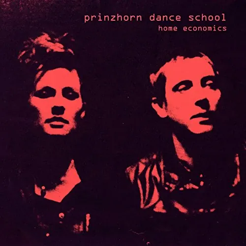 Prinzhorn Dance School - Home Economics lyrics