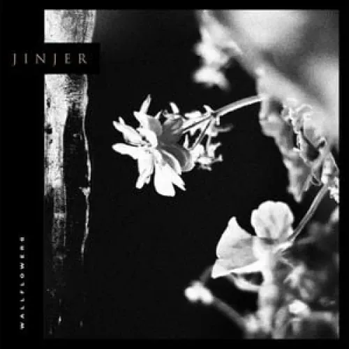 Jinjer - Wallflowers lyrics