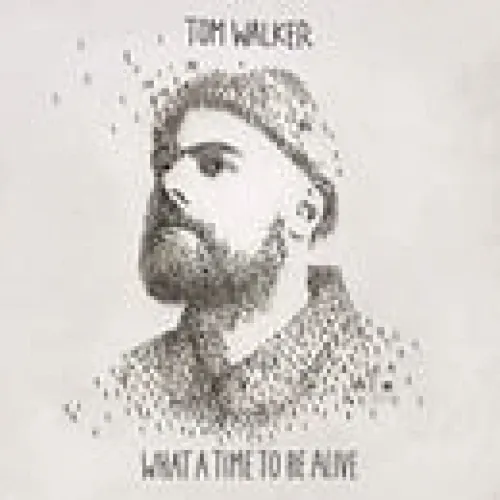 Tom Walker - What A Time To Be Alive lyrics