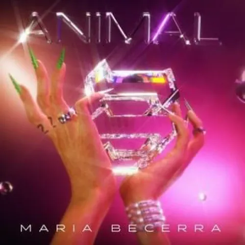 Maria Becerra - Animal lyrics