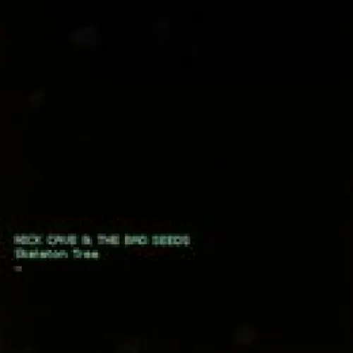 Nick Cave & The Bad Seeds - Skeleton Tree lyrics