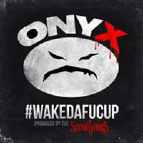 Onyx - #wakedafucup lyrics