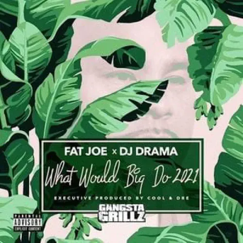 Fat Joe, DJ Drama & Cool N Dre - What Would Big Do 2021 lyrics