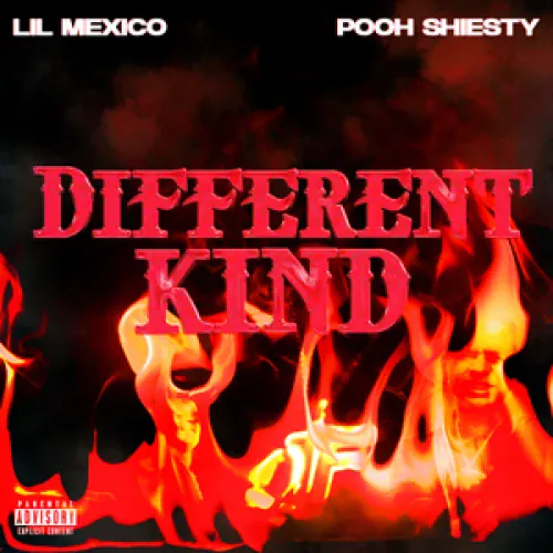 Lil Mexico - Different Kind lyrics