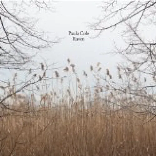 Paula Cole - Raven lyrics