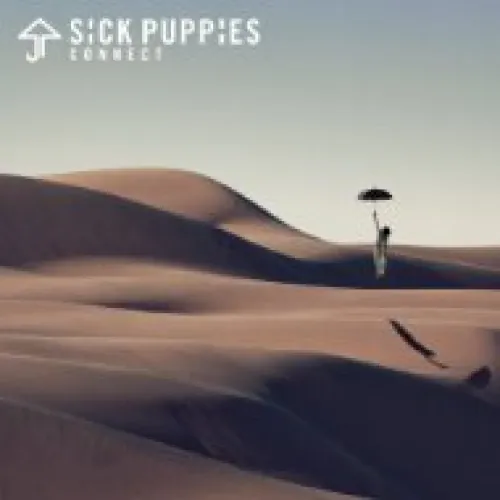 Sick Puppies - Connect lyrics