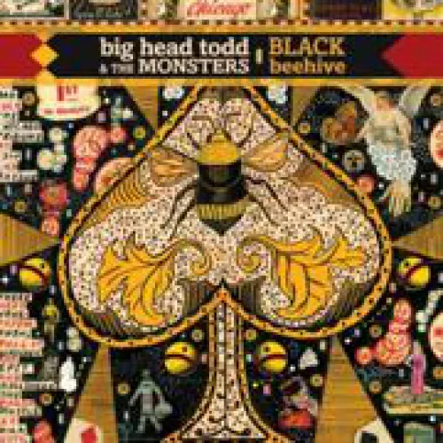 Big Head Todd and The Monsters - Black Beehive lyrics