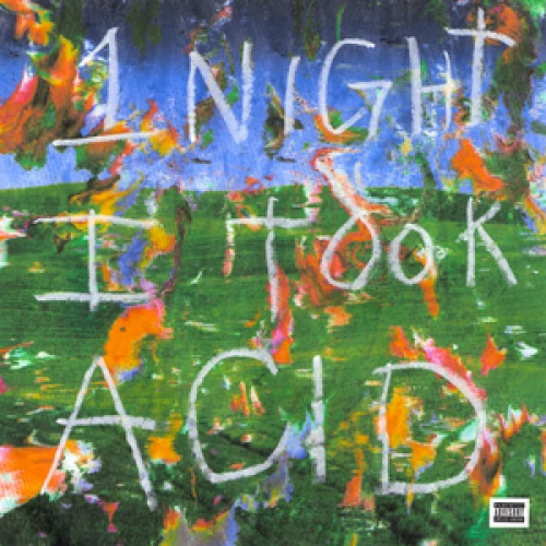 BIGBABYGUCCI ++ - 1 Night I Took Acid lyrics