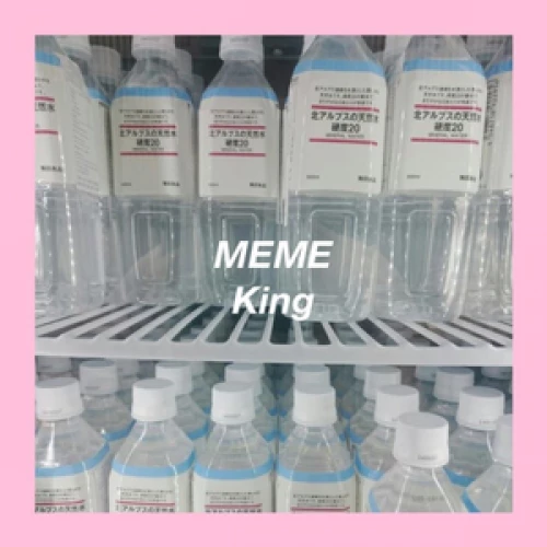 Meme King lyrics