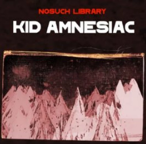 Kid Amnesiac lyrics