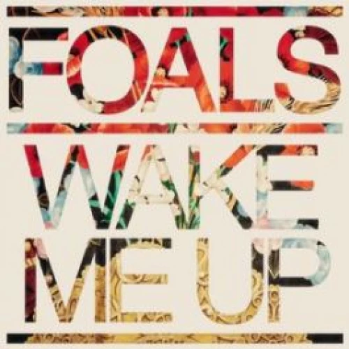 Foals7 lyrics