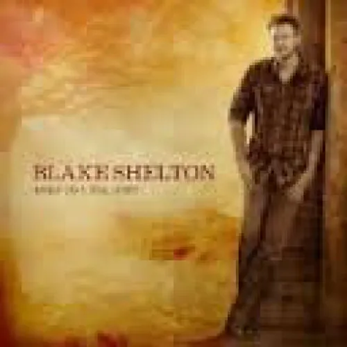 Blake Shelton - Based On A True Story... lyrics