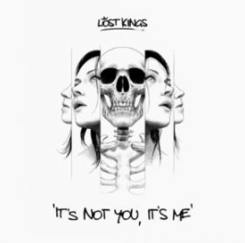 It’s Not You, It’s Me lyrics