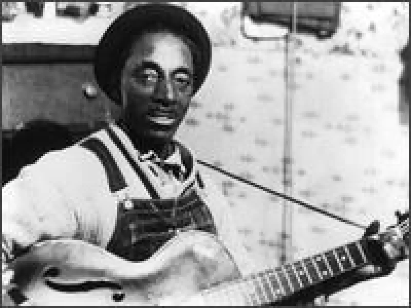 Mississippi Fred Mcdowell - Been Drinkin' Water Out Of A Hollow Log * lyrics