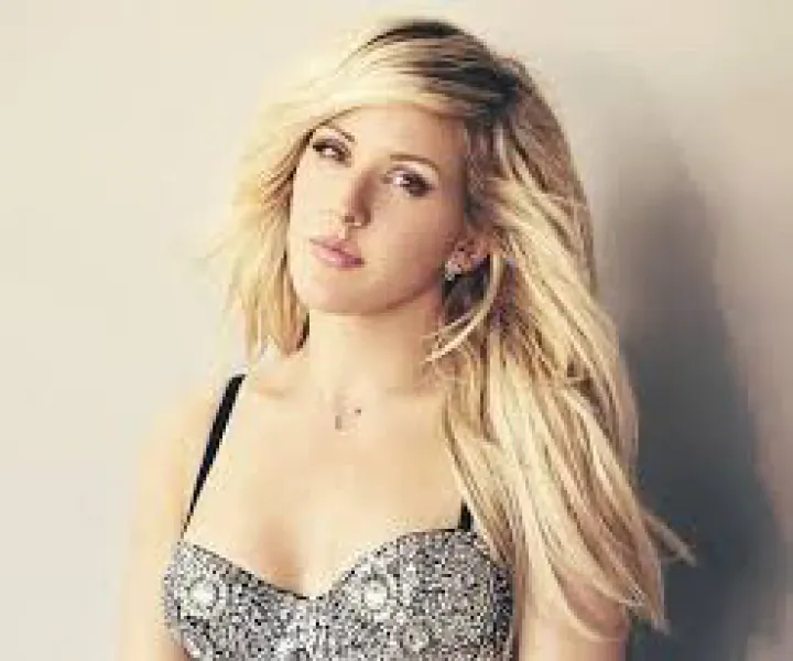 Ellie Goulding - I Do What I Love lyrics
