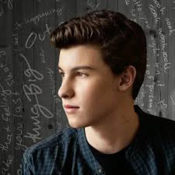 Shawn Mendes - This Is What It Takes lyrics